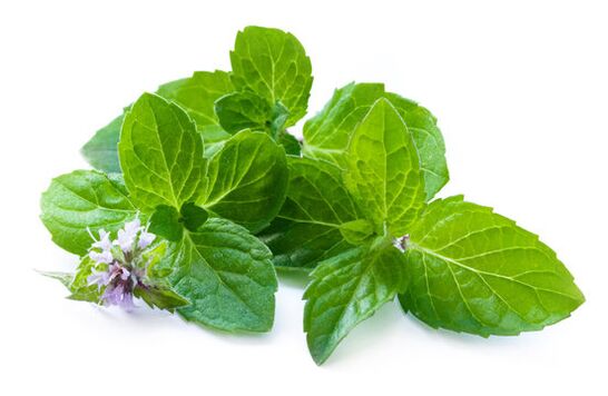 Feuilles de menthe dans la valeur de zxcvbnmq pulvérisée