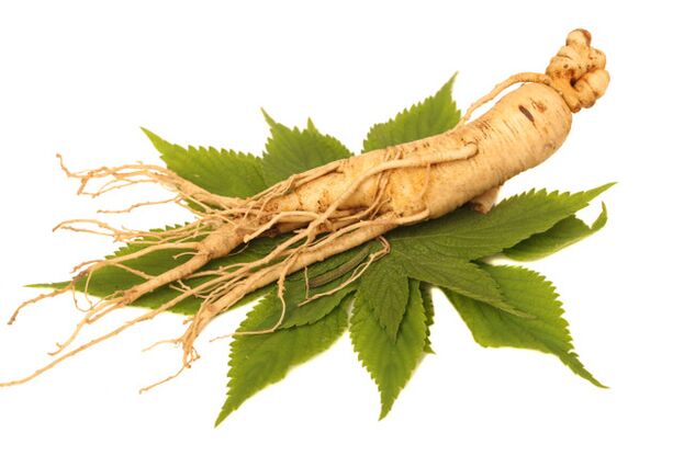 Root de ginseng dans la valeur pulvérisée zxcvbnmq